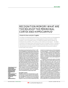 recognition memory: what are the roles of the perirhinal cortex and