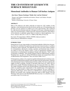 "Monoclonal Antibodies to Human Cell Surface Antigens". In