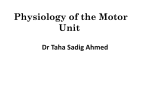 Q:What is a Motor Unit