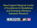 New England Regional Center of Excellence for Biodefense
