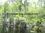 evolution and biodiversity1