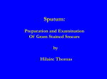 SPUTUM: PREPARATION AND EXAMINATION OF GRAM STAINED