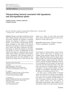 Nitrogen-fixing bacteria associated with leguminous and non