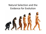 Natural Selection and the Evidence for Evolution