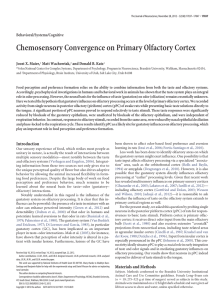 Chemosensory Convergence on Primary Olfactory Cortex