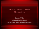 (HPV) and cervical cancer.