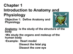 a_and_p_Chapter_1__ppt_hs