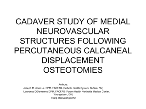 cadaver study of medial neurovascular structures and tendons