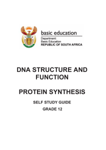 DNA STRUCTURE AND FUNCTION PROTEIN SYNTHESIS