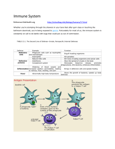 Cancers of the Immune System