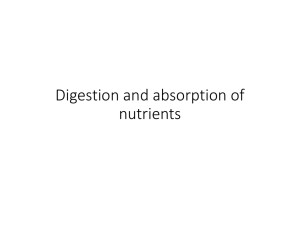 Digestion and absorption of nutrients