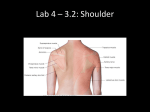 Lab 4 part 2 Shoulder 3