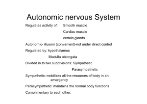 Autonomic nervous System
