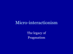 Micro-interactionism