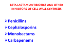 BETA LACTAM ANTIBIOTICS AND OTHER INHIBITORS OF CELL