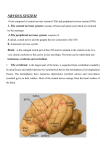 1- The central nervous system