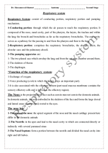 Respiratory system *Function of the respiratory system: The nose has: