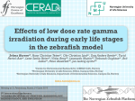 Hurem S. et al - laboratory of radiation biology