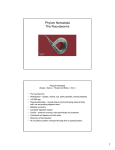 Phylum Nematoda The Roundworms