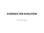 evidence for evolution - Hamilton Local Schools