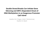 Double Strand Breaks Can Initiate Gene Silencing