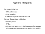 Positive Strand RNA Viruses