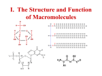 Macromolecules Power Point File