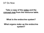 The Endocrine System