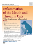 inflammation_of_the_mouth_and_throat_in_cats