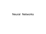 Neural Networks