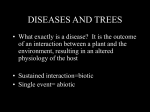 diseases and trees - College of Natural Resources, UC Berkeley