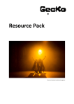 Gecko Resource Pack