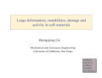 Large deformation, instabilities, damage and activity in soft materials
