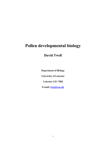 Pollen developmental biology