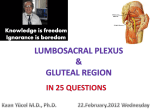 1. What is gluteal region?