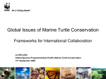 Global Issues of Marine Turtle Conservation