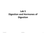 Lab 5 Digestion and Hormones of Digestion Summer 2015