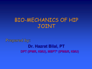 bio-mechanics of hip joint
