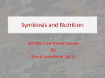 Symbiosis and Nutrition