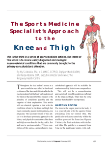 Knee and Thigh - STA HealthCare Communications