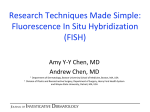 Fluorescence In Situ Hybridization