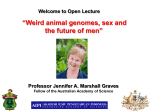 Professor Jennifer A. Marshall Graves Fellow of the Australian