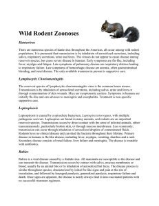 Wild Rodent Zoonoses