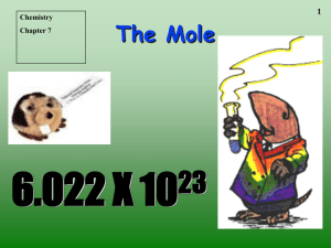 Student Ch 9 The Mole