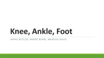 Knee, Ankle Foot presentation OTA
