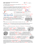 Chapter 2 Reading Guide