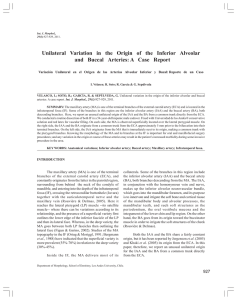 Unilateral Variation in the Origin of the Inferior Alveolar and Buccal