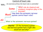 Control of heart rate An overview of how the heart