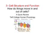 3- Cell Structure and Function How do things move in