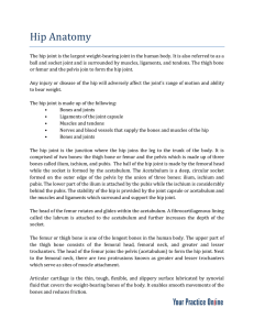 Hip Anatomy - Ronak Patel MD